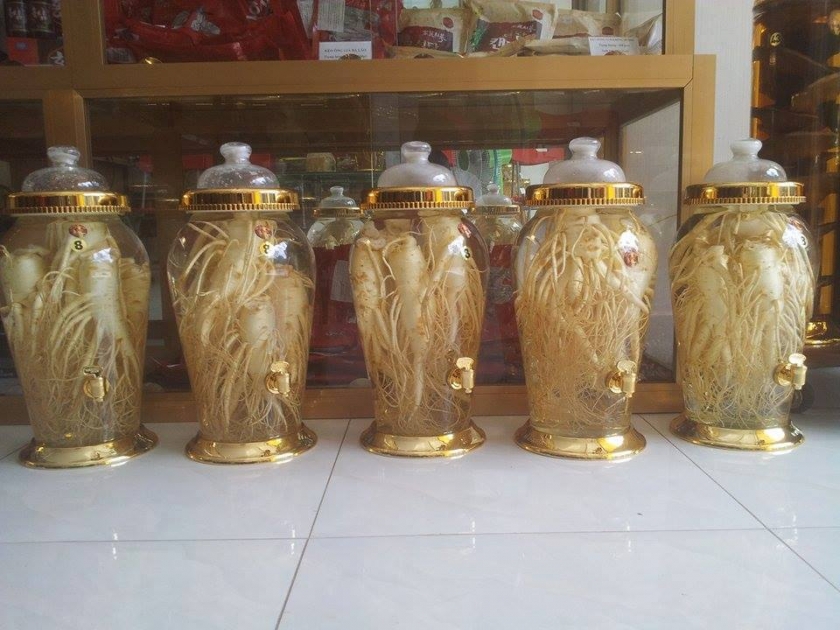 CÁCH CHẾ BIẾN SÂM TƯƠI HÀN QUỐC