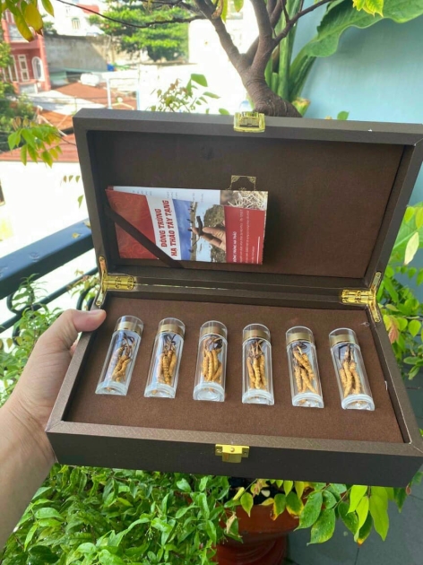 <br />
<b>Notice</b>:  Undefined property: stdClass::$tensanpham in <b>/home/samyenbn/domains/samyenbaongan.vn/public_html/product.php</b> on line <b>384</b><br />
