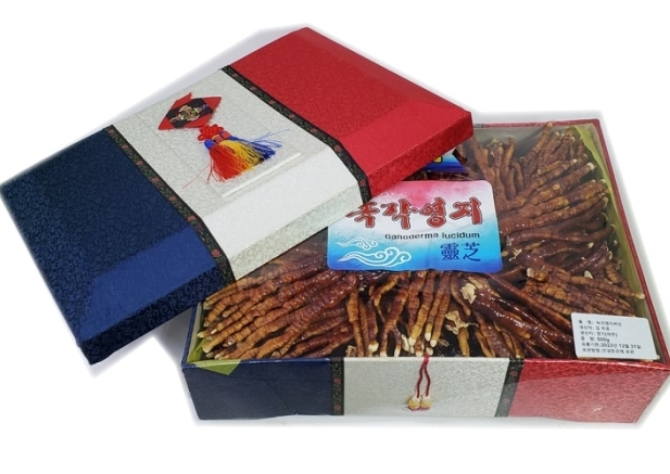 Nấm linh chi sừng hươu Hàn Quốc 500g